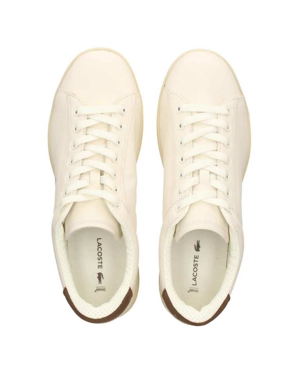 Lacoste Natural Carnaby Leather Sneakers for men