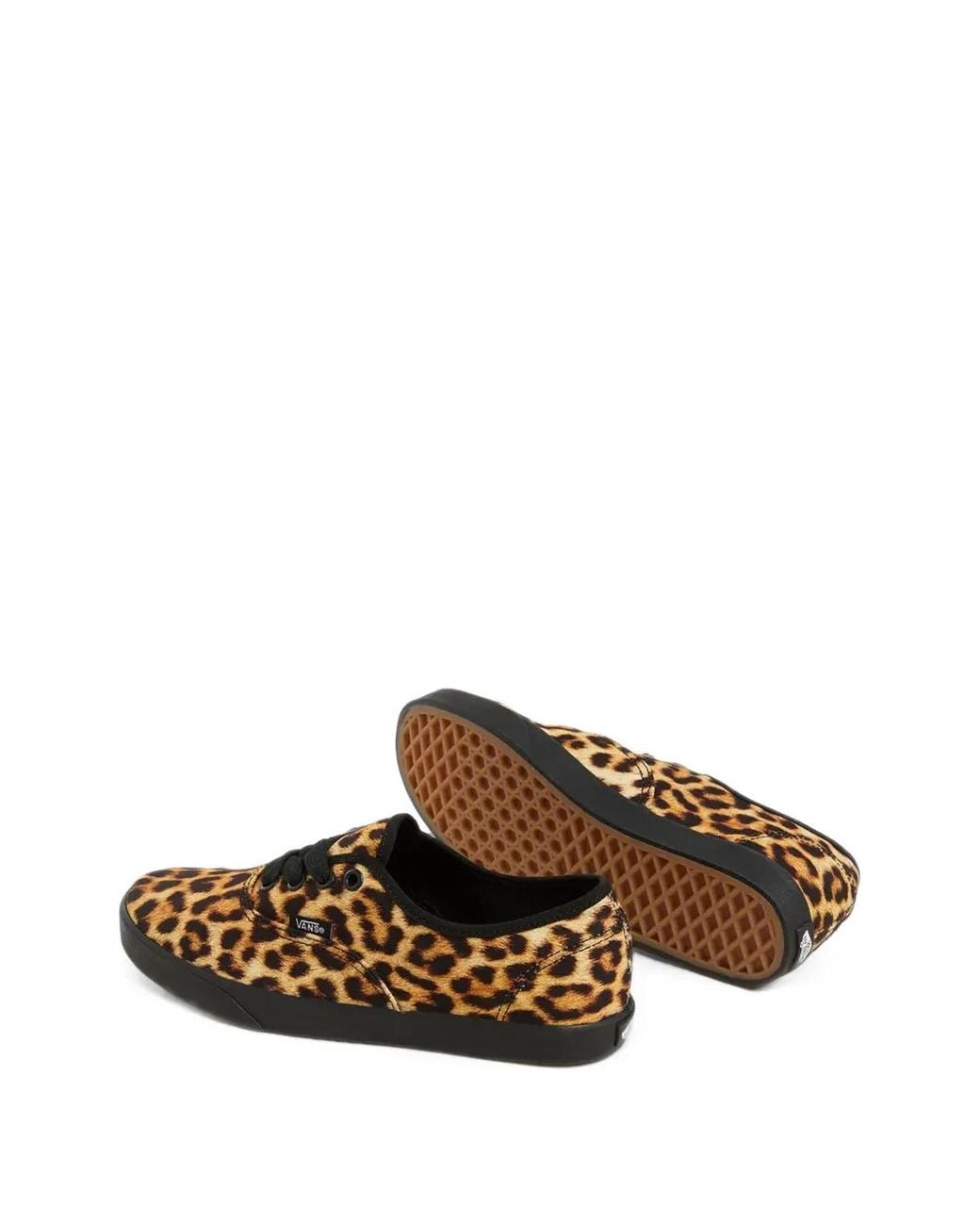 Vans Brown Authentic Lowpro Leopard-Print Sneakers