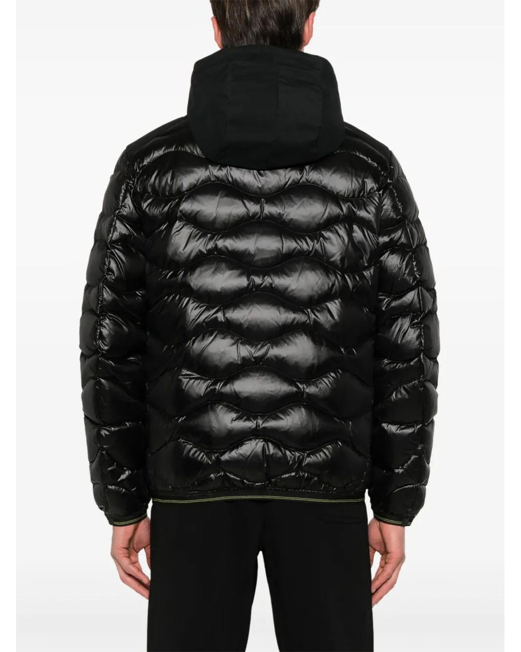 Blauer Wave Gewatteerd Donsjack in het Black voor heren