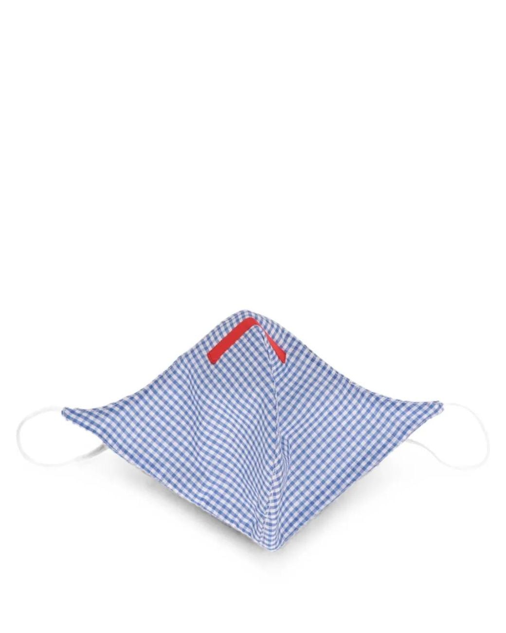 Isaia Blue Gingham Face Mask for men