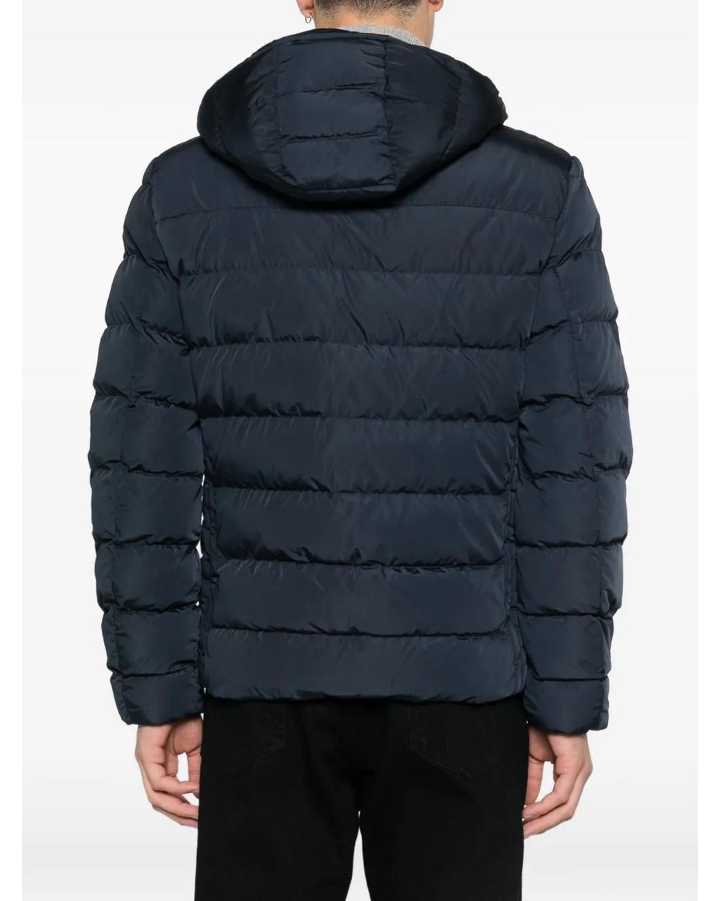 Geox Blue Snake Puffer Jacket for men