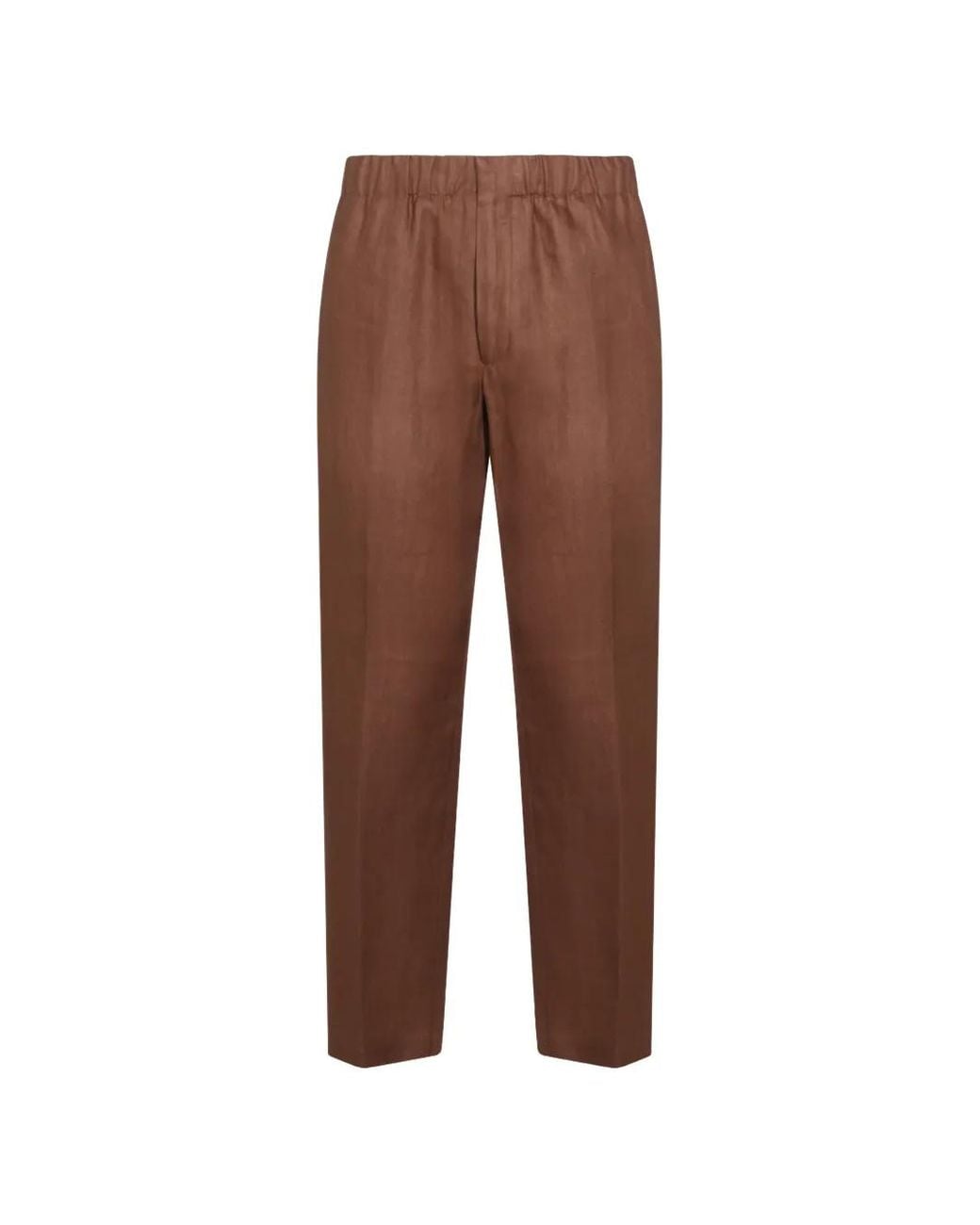 Lardini Brown Pleated Straight-Leg Trousers for men