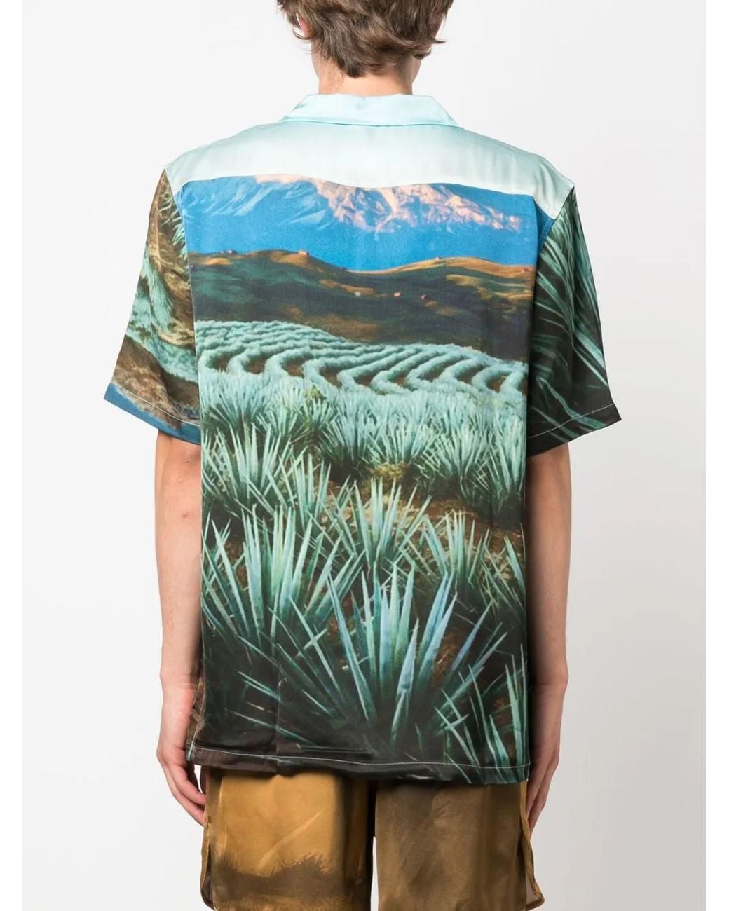 BLUE SKY INN Green Agave Graphic-Print Shirt for men