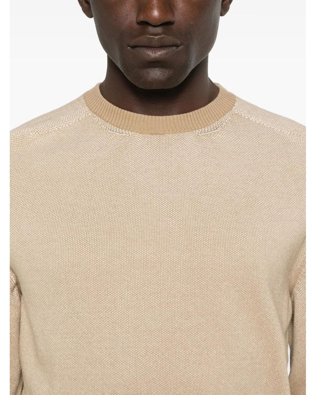 Canali Natural Cotton Sweater for men