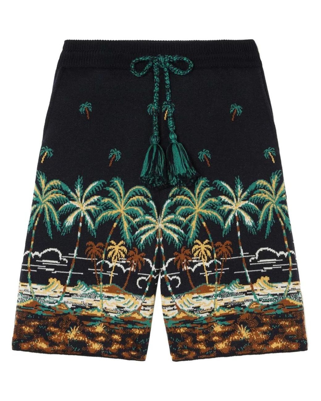 Alanui Blue The Tale Of A Hawaiian Shorts for men