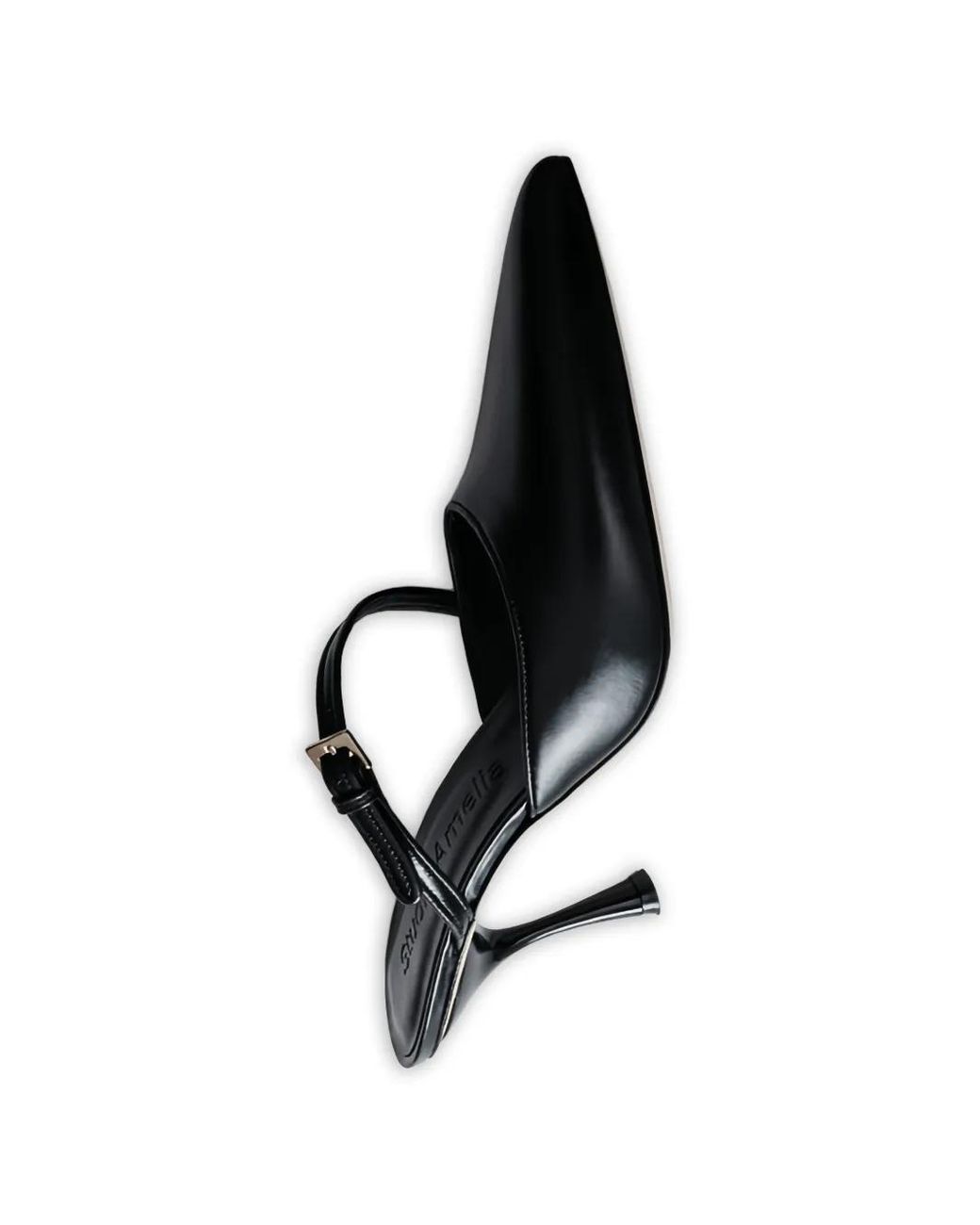 STUDIO AMELIA Black Alto Buckle-Strap Mules