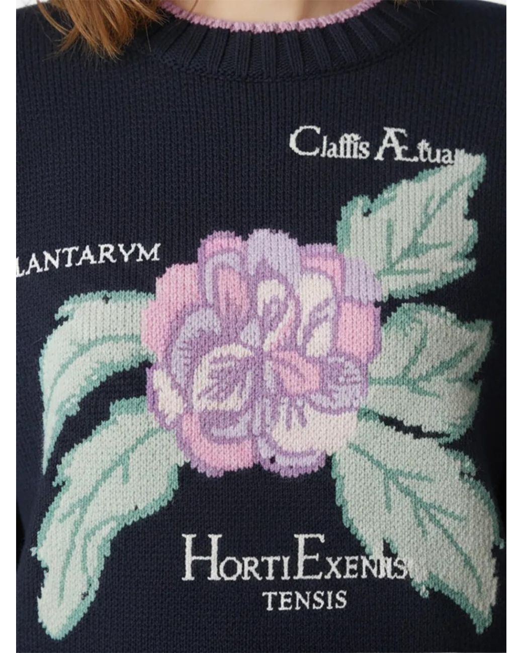 Alberta Ferretti Blue Floral Knitwear