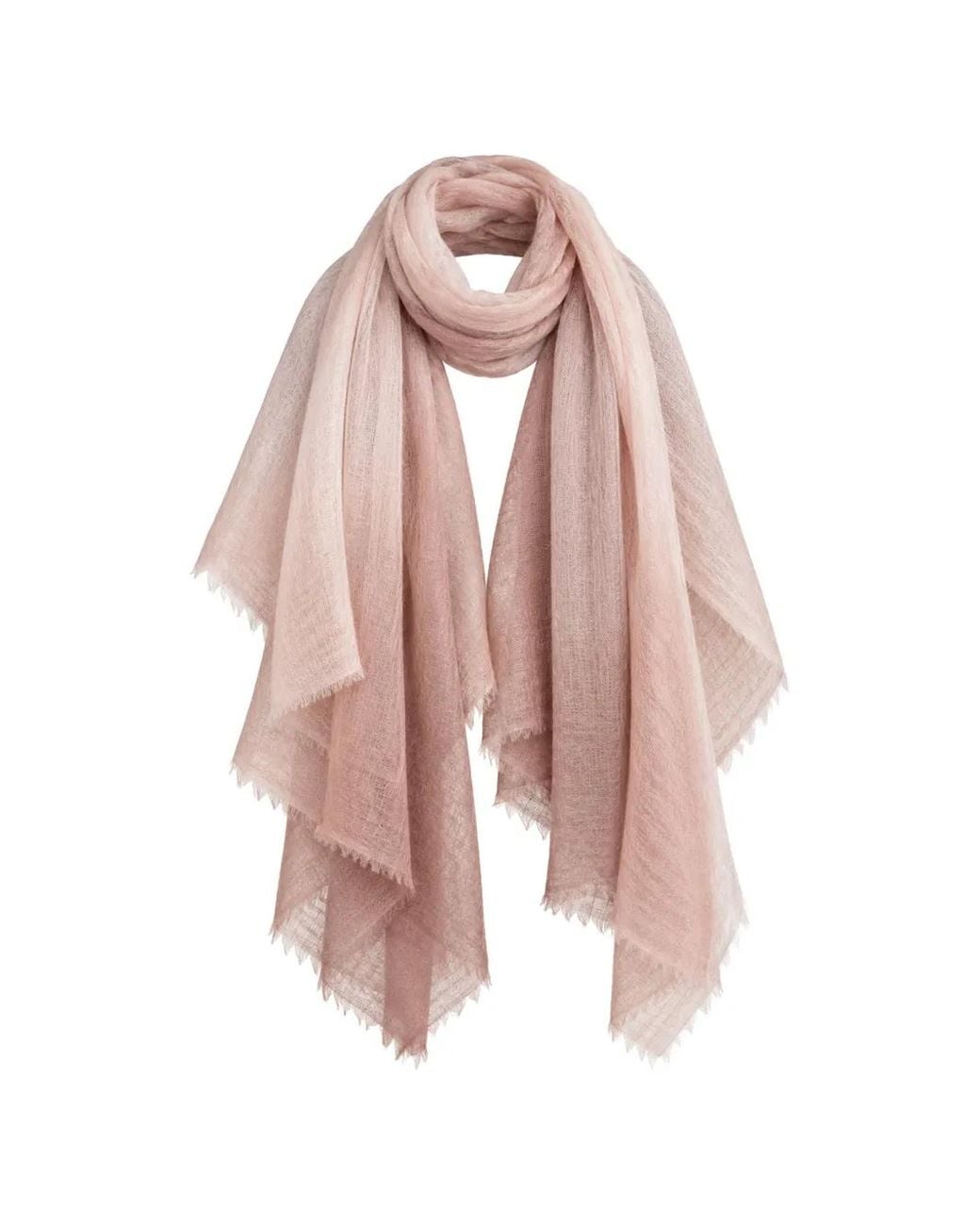 Oats & Rice Pink Fringed Cashmere Scarf