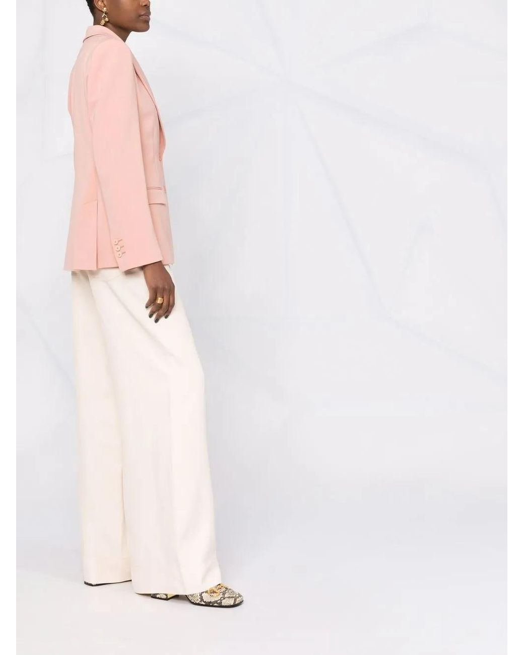 Alberta Ferretti Pink Single-Breasted Blazer