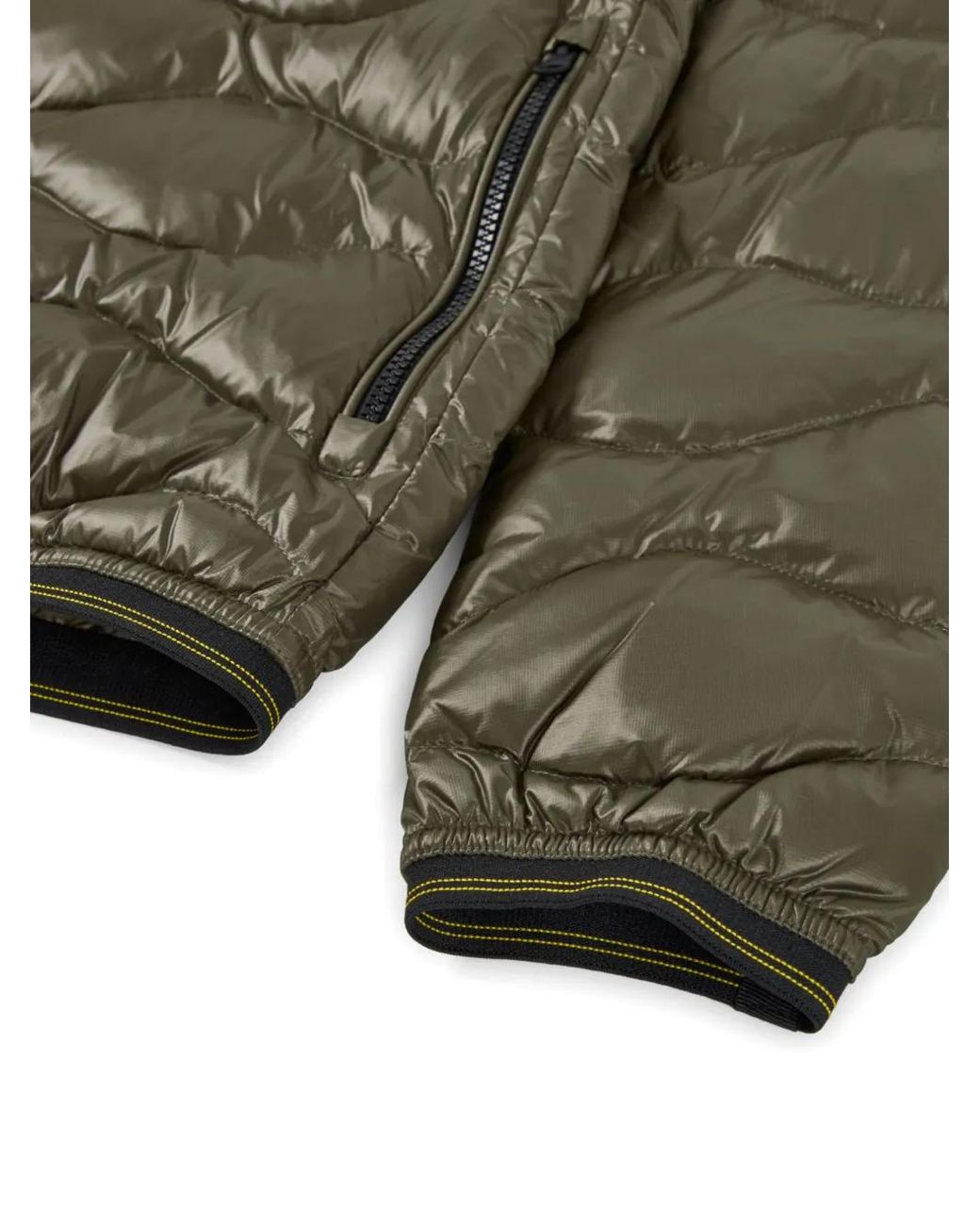 Blauer Green Logo-Patch Padded Jacket for men