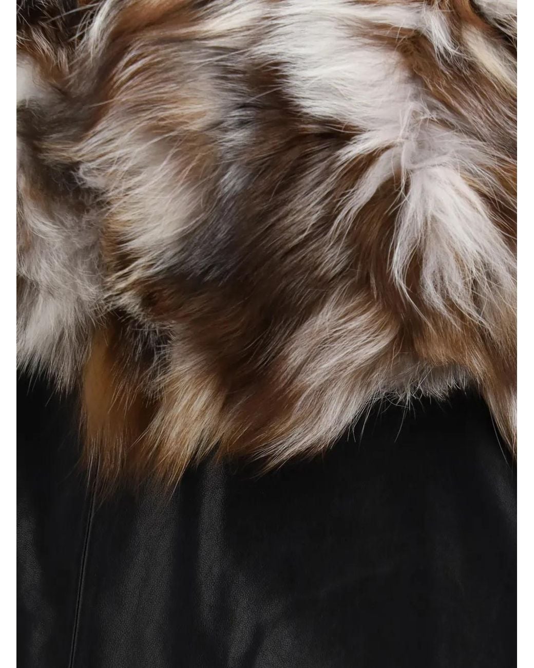 Moose Knuckles Black Zip-Fastening Jacket