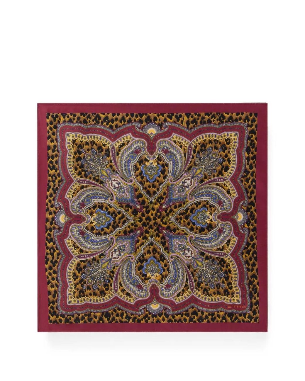 Sciarpa Con Stampa di Etro in Brown