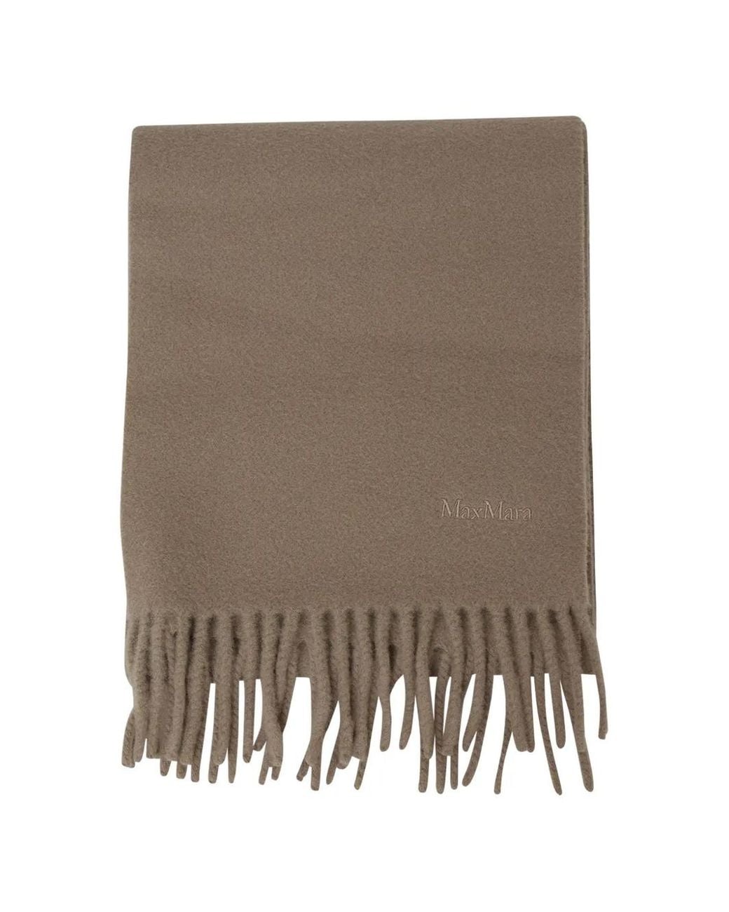 Max Mara Brown Logo-Embroidered Fringed Scarf