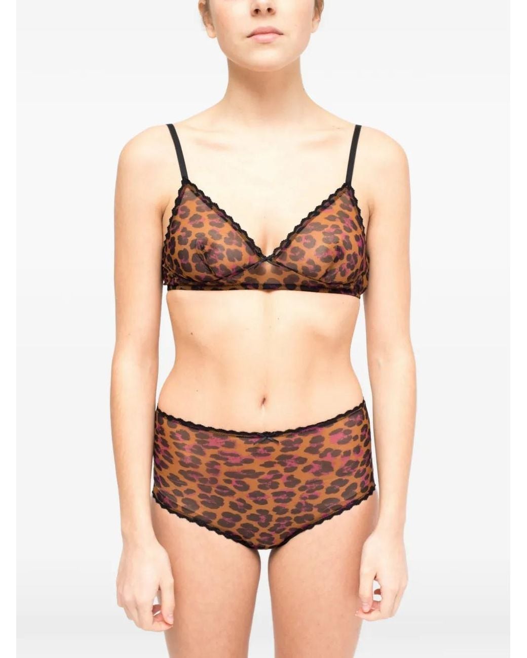 Laura Urbinati Brown Leopard-Print Lace-Trim Briefs
