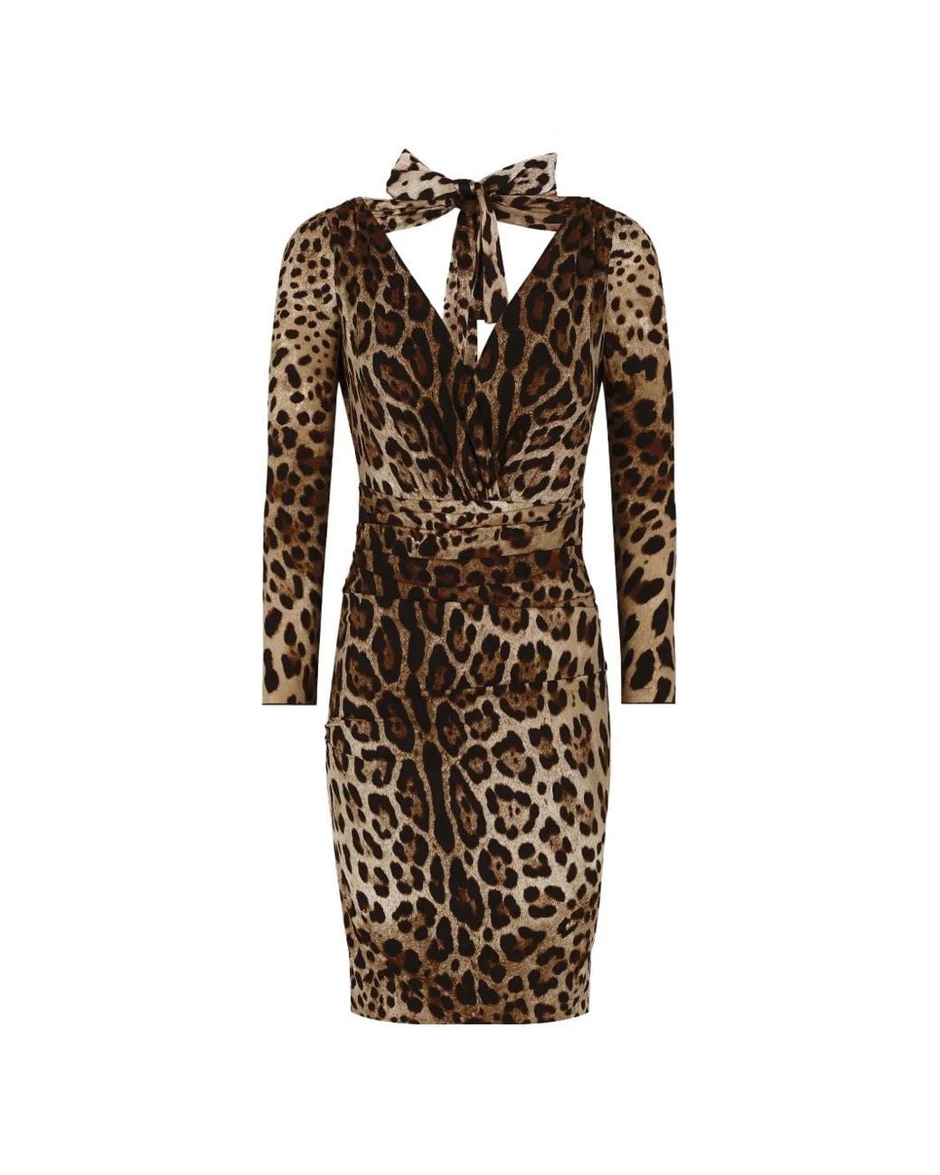 Dolce & Gabbana Natural Leopard-Print Dress