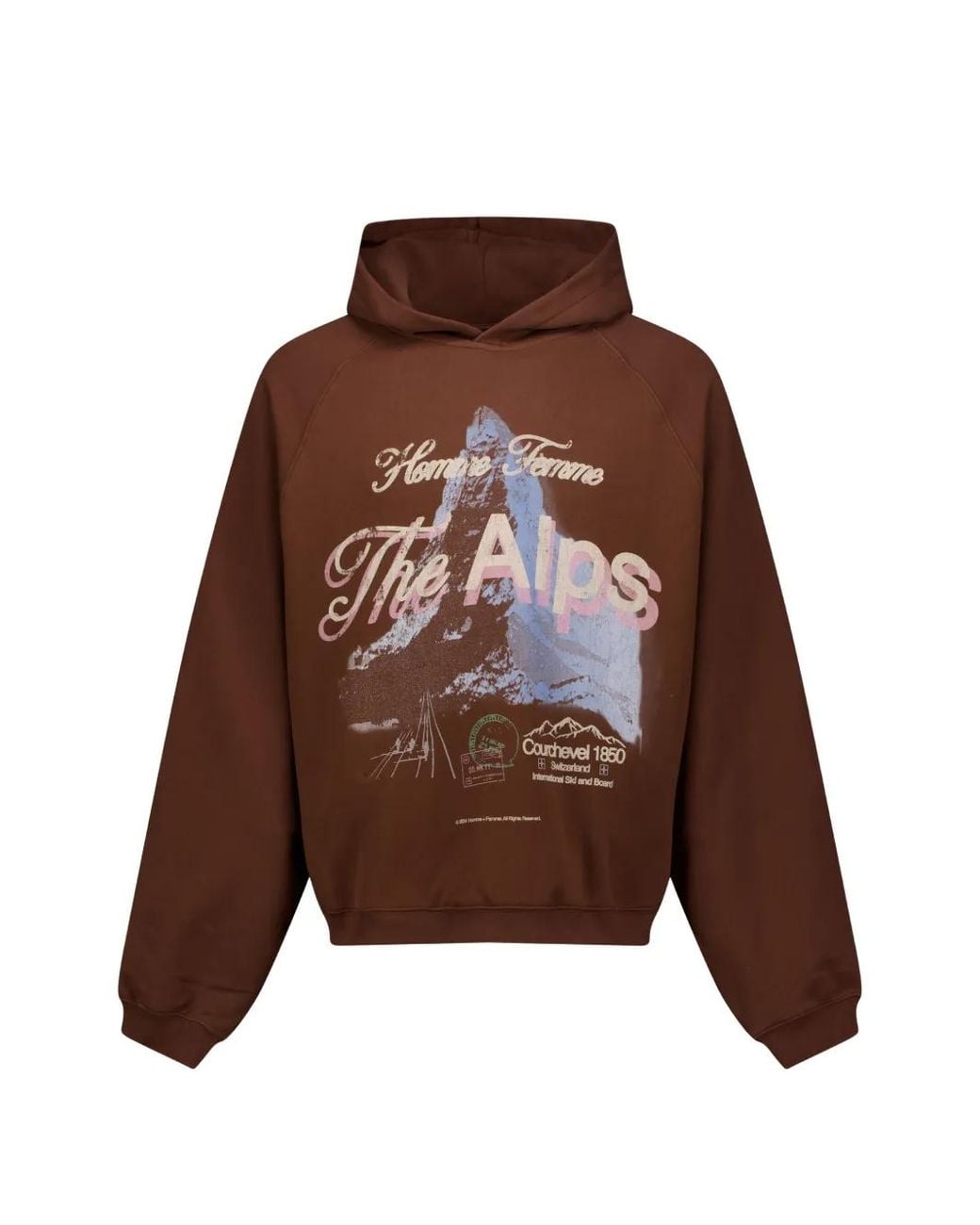 Homme by Michele Rossi Brown Hoodie Swiss Alps À Imprimé Graphique for men