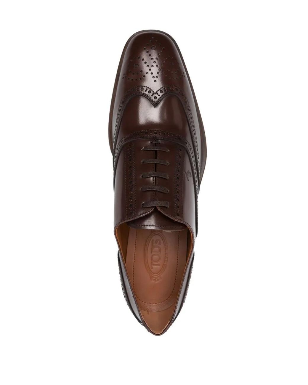 Tod's Brown Polished Leather Brogues for men