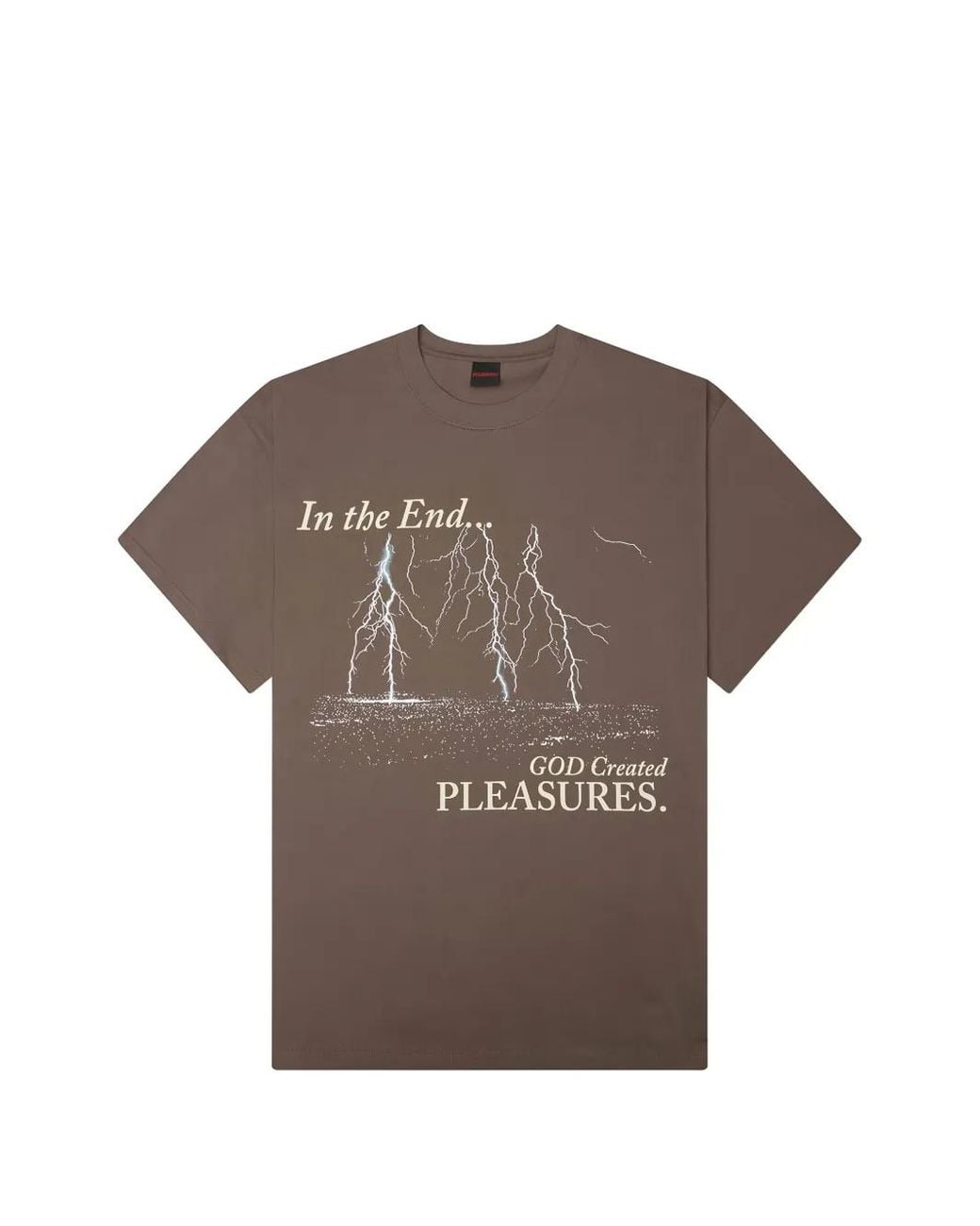Pleasures Brown Graphic-Print Cotton T-Shirt for men
