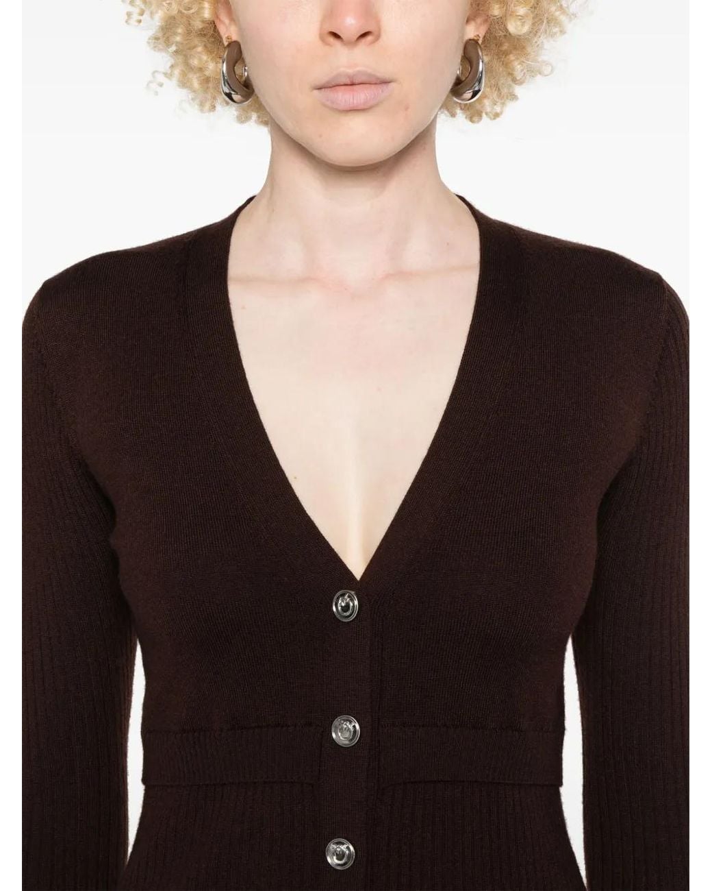 Pinko Brown Riserva Mini Dress