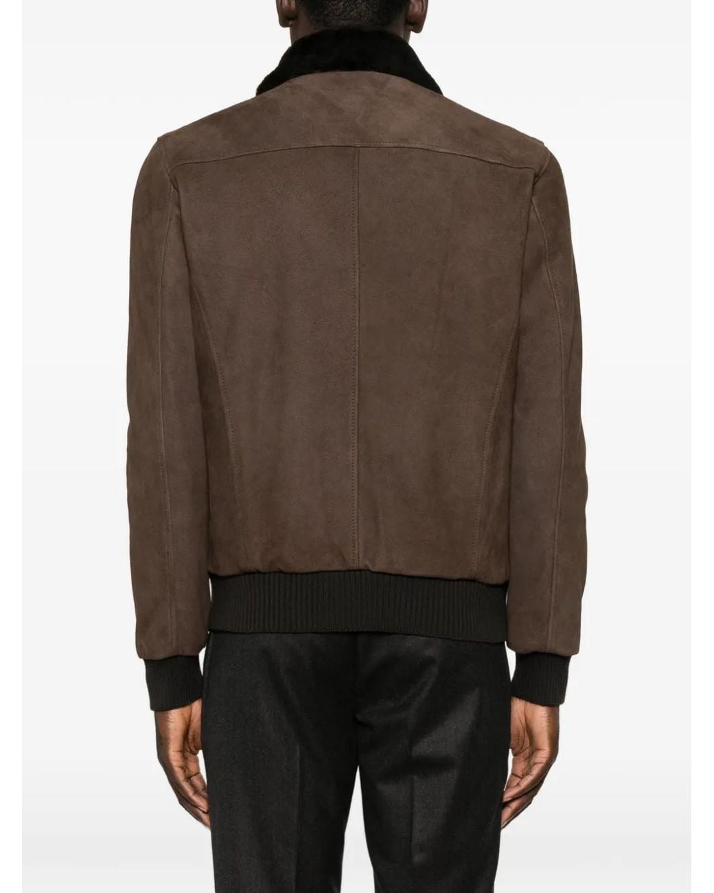 Barba Napoli Brown Boston Shearling-Collar Suede Jacket for men