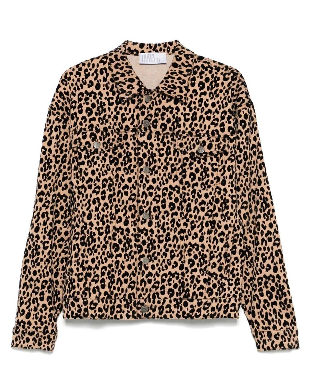 GIUSEPPE DI MORABITO Brown Leopard-Print Denim Jacket