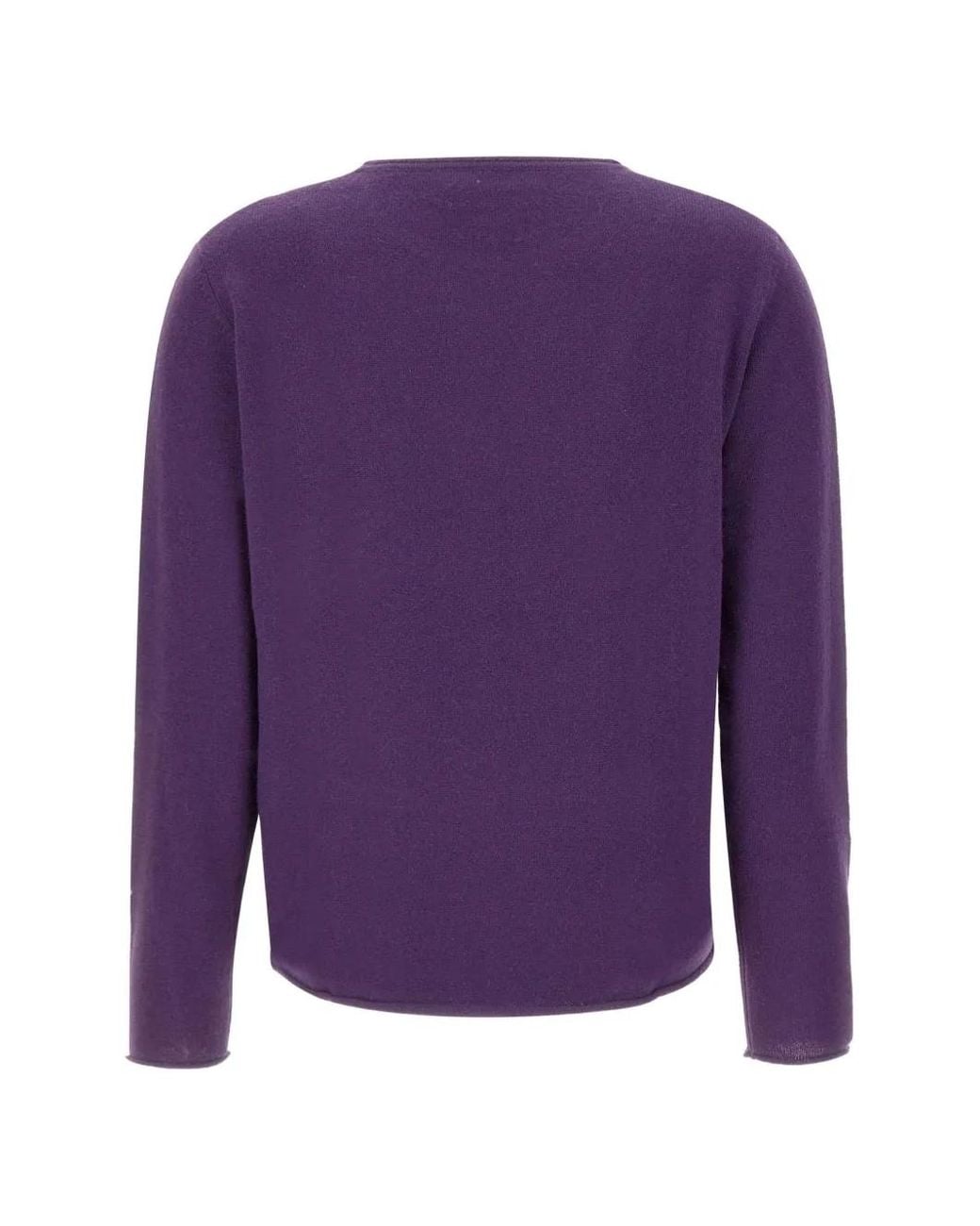 Not Shy Purple Round-Neck Sweater