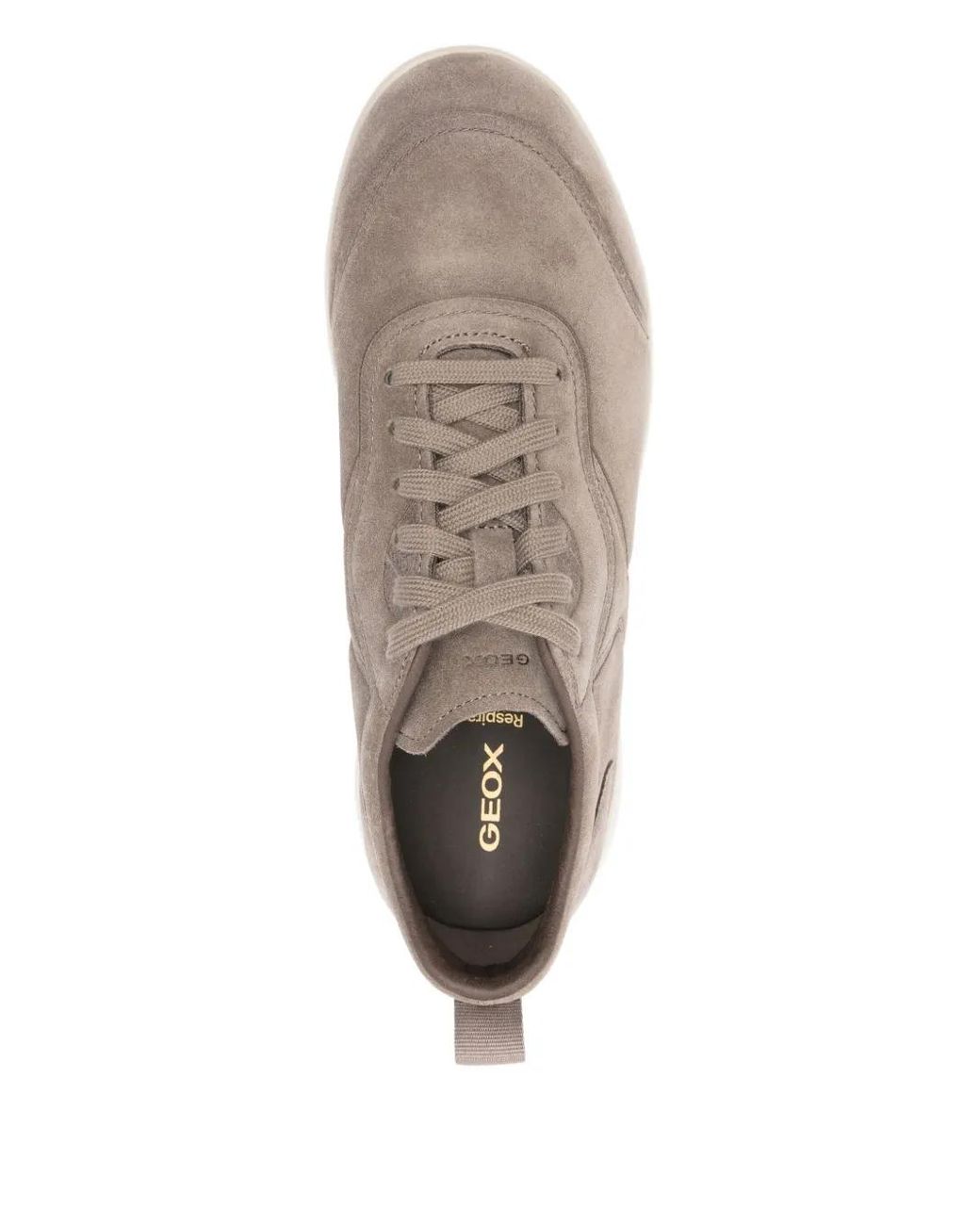 Geox Brown Lace-Up Leather Sneakers for men
