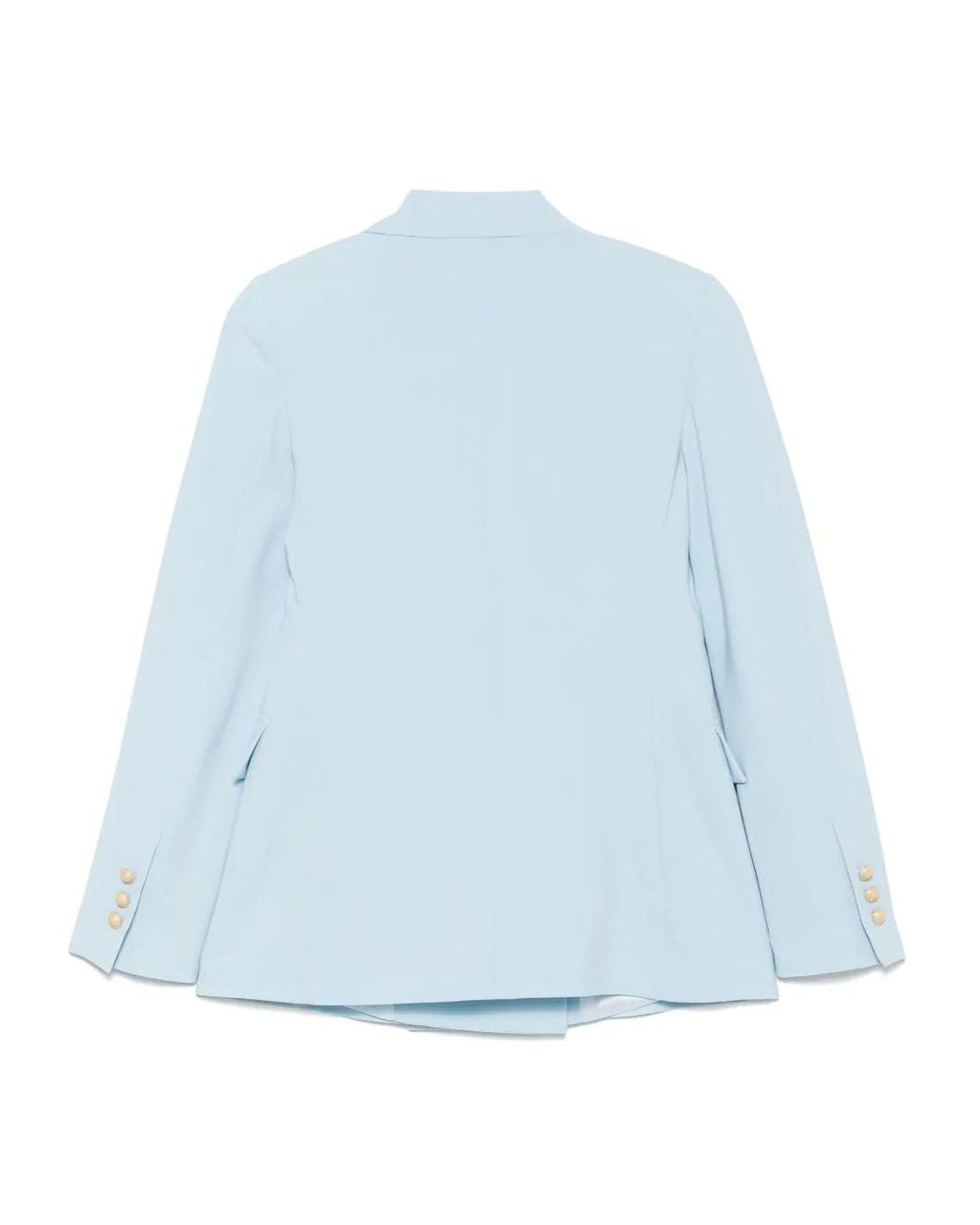 D.exterior Blue Double-Breasted Blazer