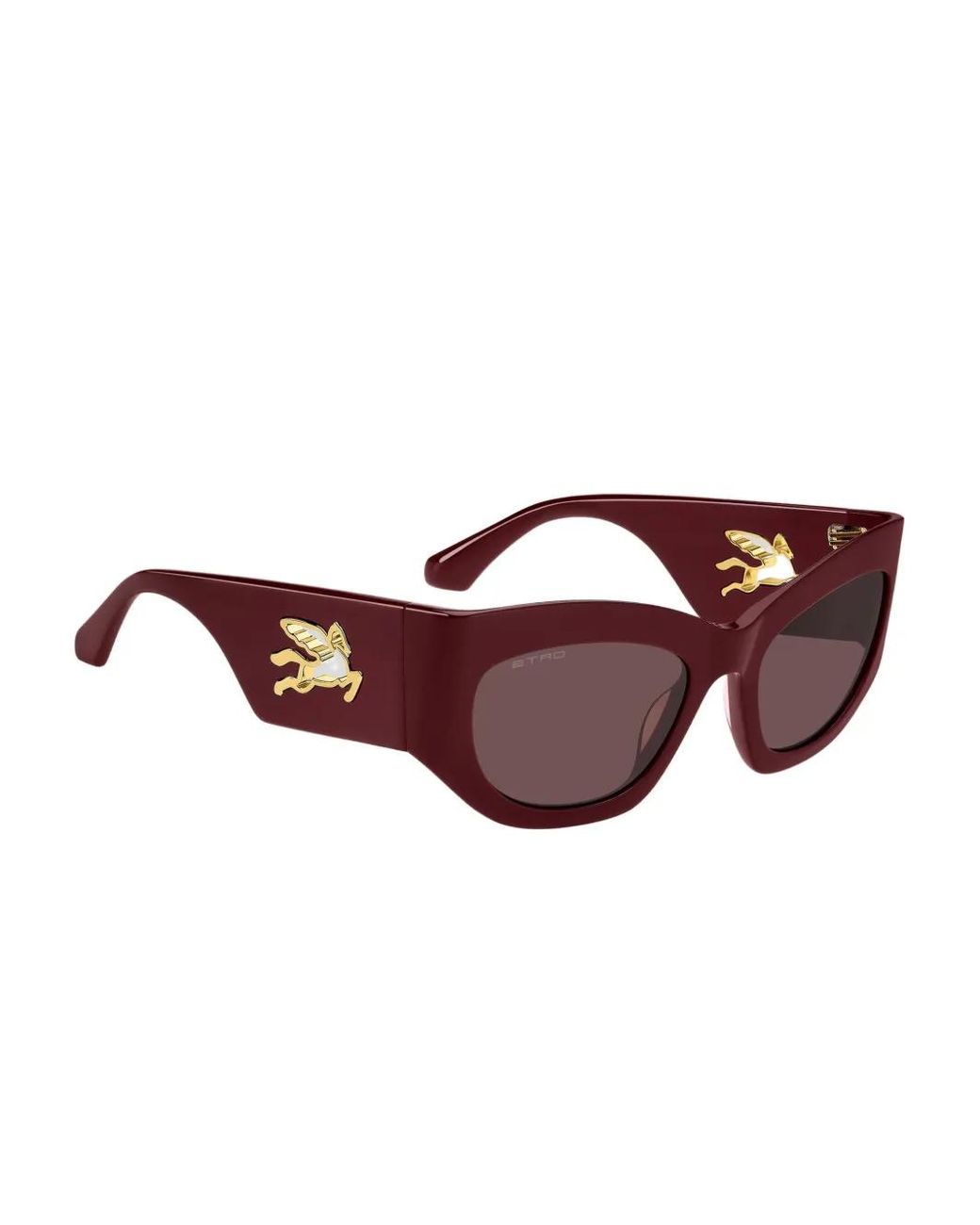 Etro Brown Mania Sunglasses