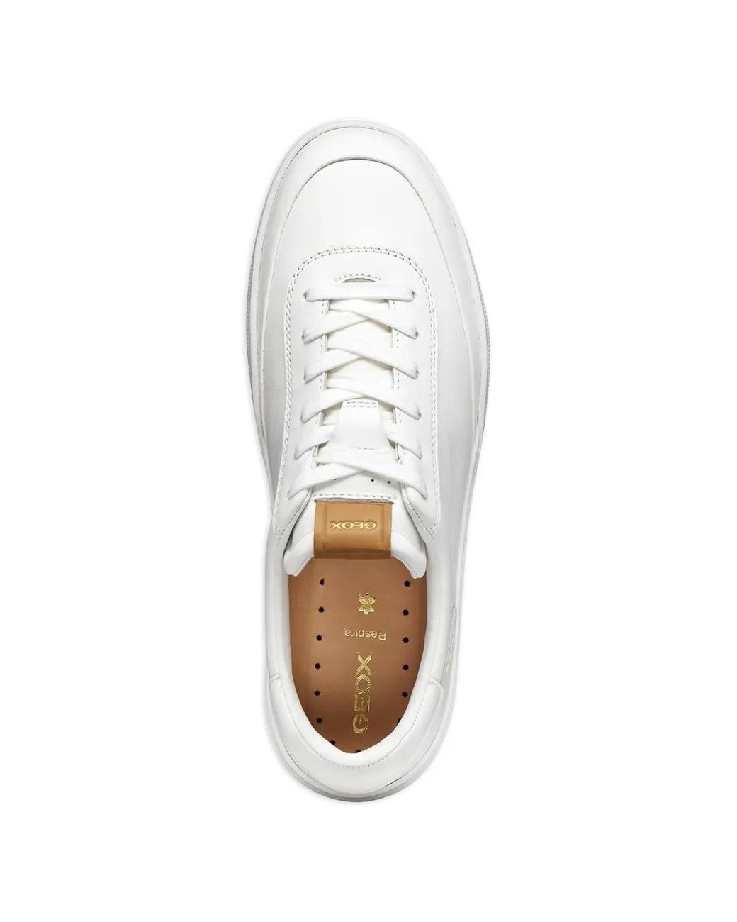 Baskets Dynamia À Plateforme Geox pour homme en coloris White