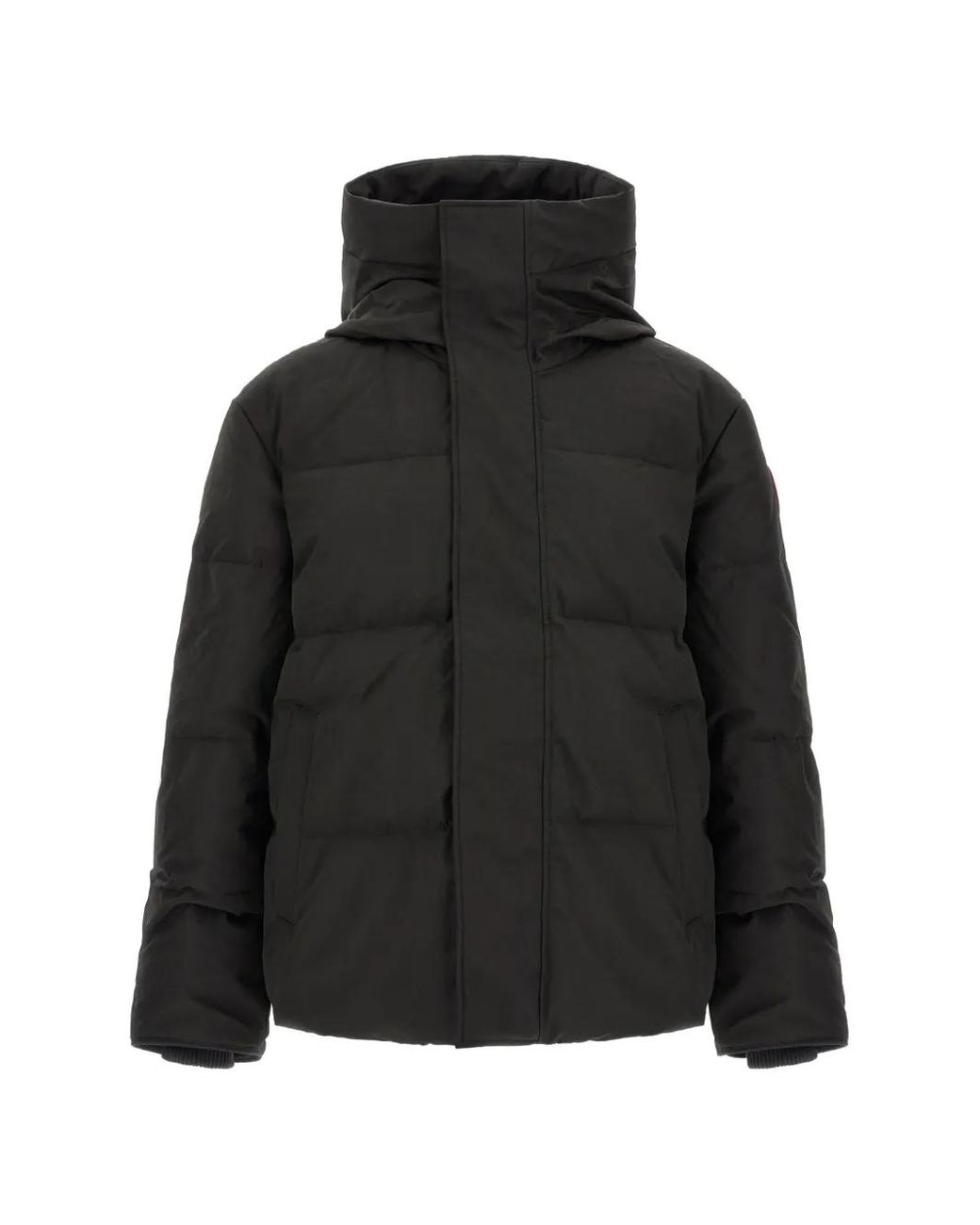 Canada Goose Black Seymour Padded Jacket for men