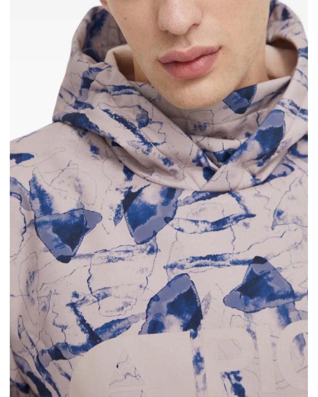 Picture Gray Parker Printed Hoodie for men