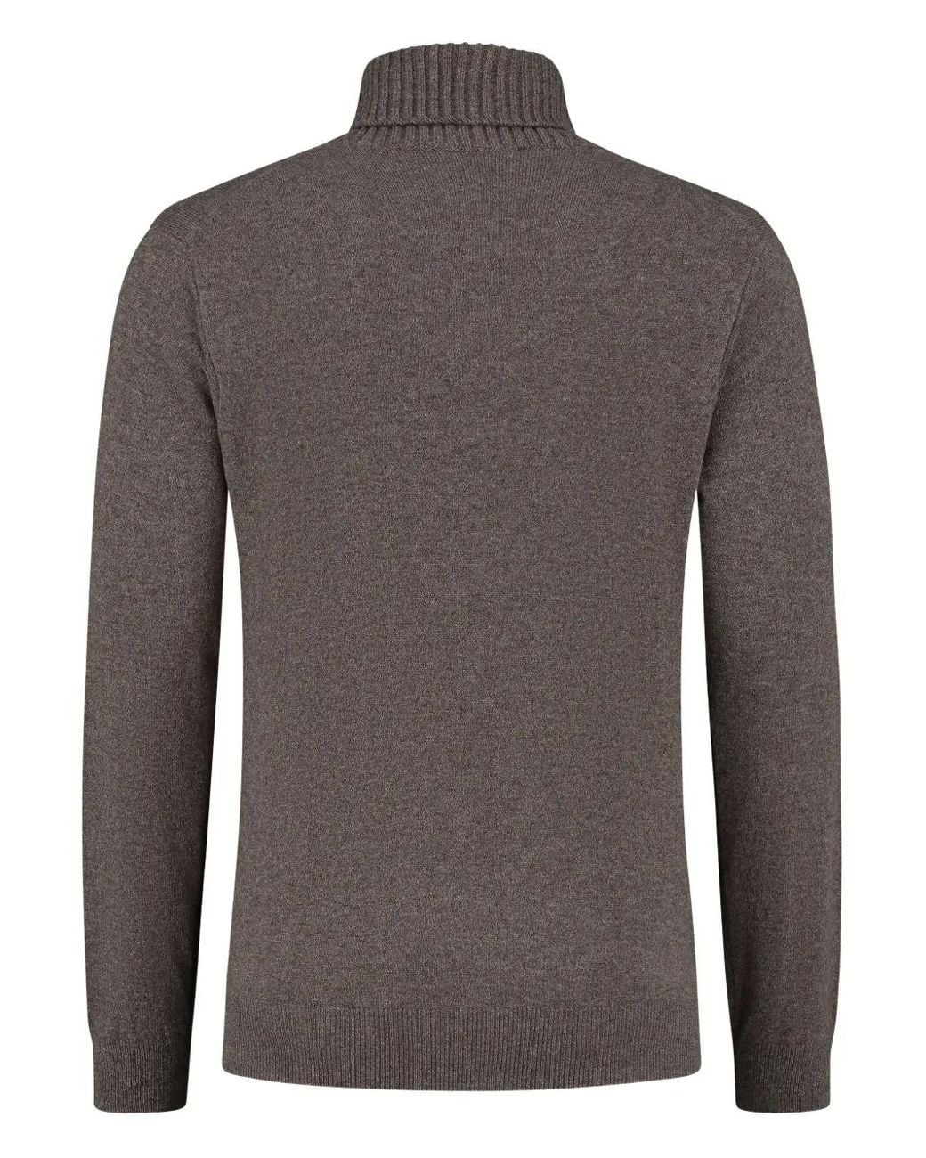 Doriani Brown Roll-Neck Sweater for men