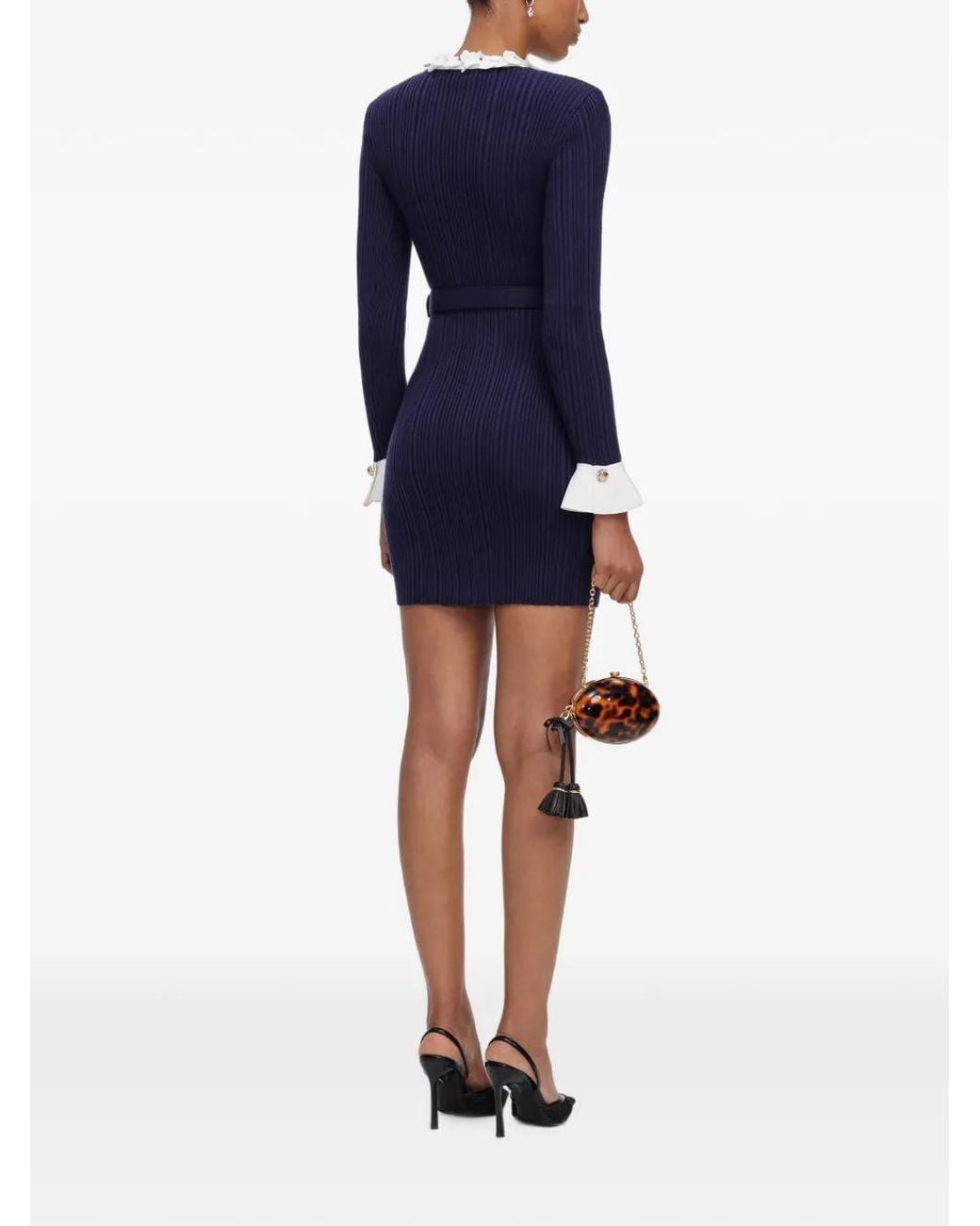 Self-Portrait Blue Dresses