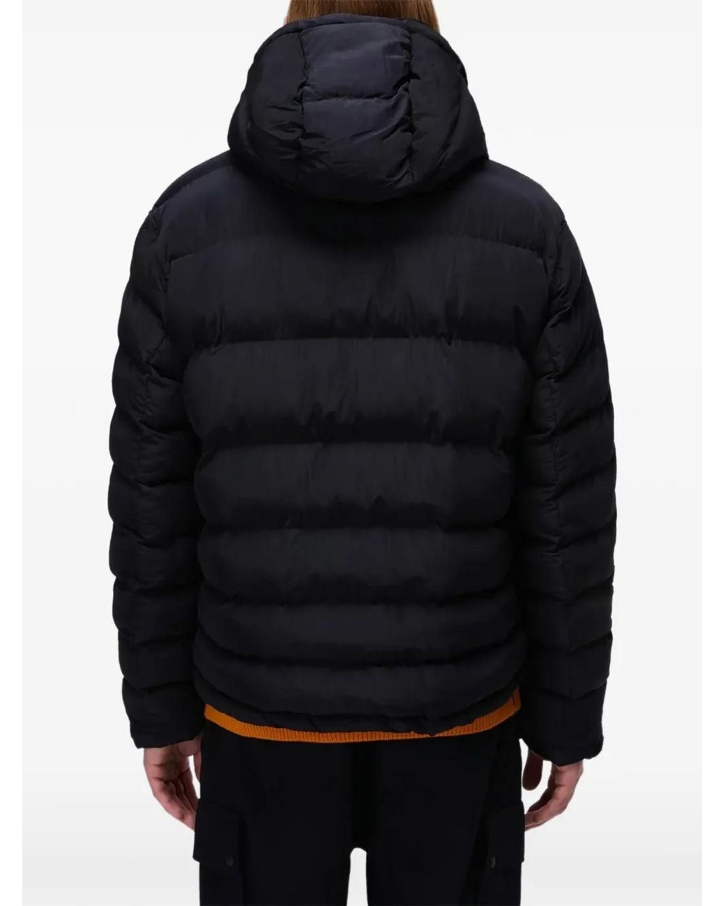 Napapijri Blue Hooded Padded Jacket for men
