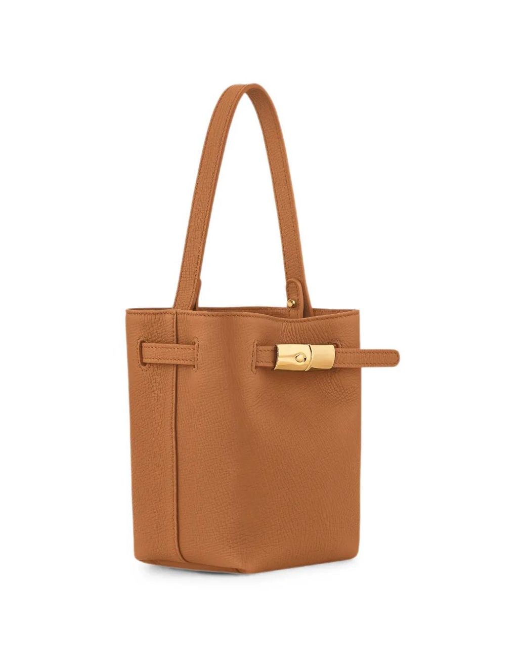 Longchamp Brown Le Smart Xs Bucket Bag