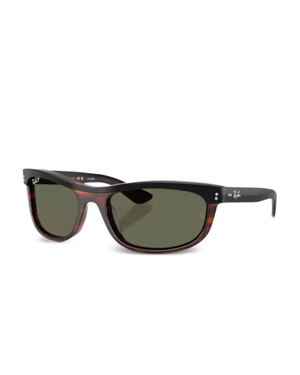 Ray-Ban Brown Tortoiseshell Sunglasses