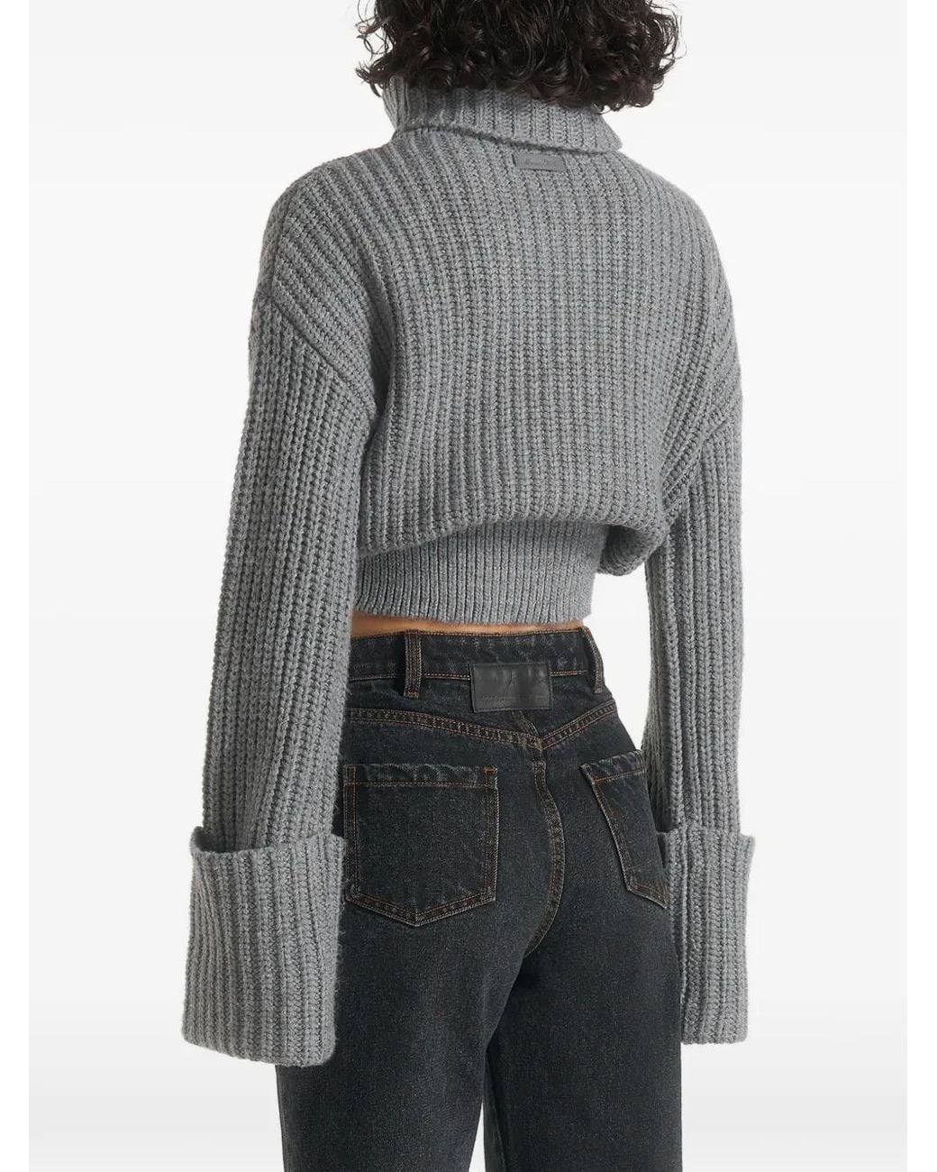 Manière De Voir Gray Amaya