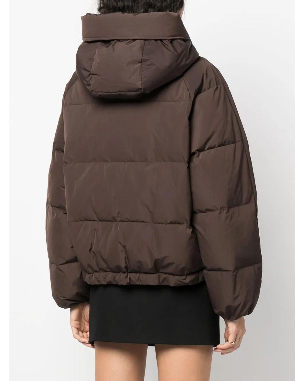 Dolce & Gabbana Brown Jackets