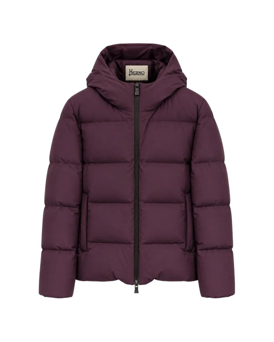Herno Purple Quilted Hooded Jacket for men