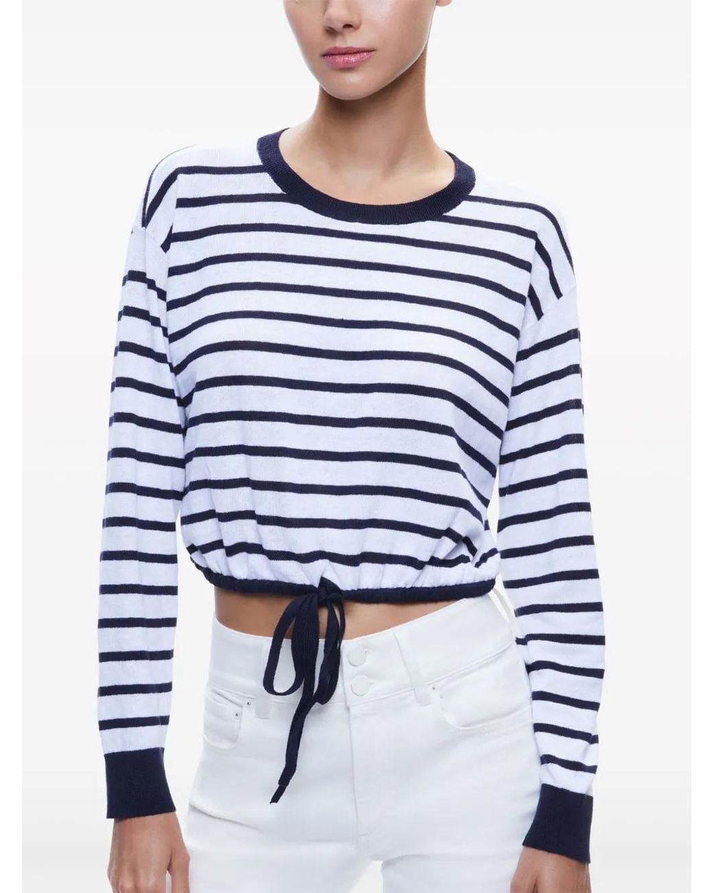Alice + Olivia Blue Bernetta Striped Top