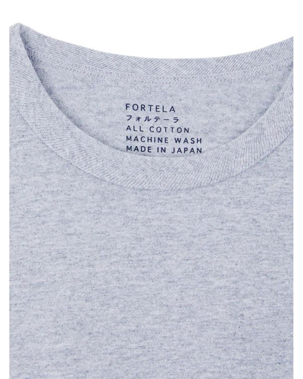 Fortela Gray Japt Crew-Neck T-Shirt for men