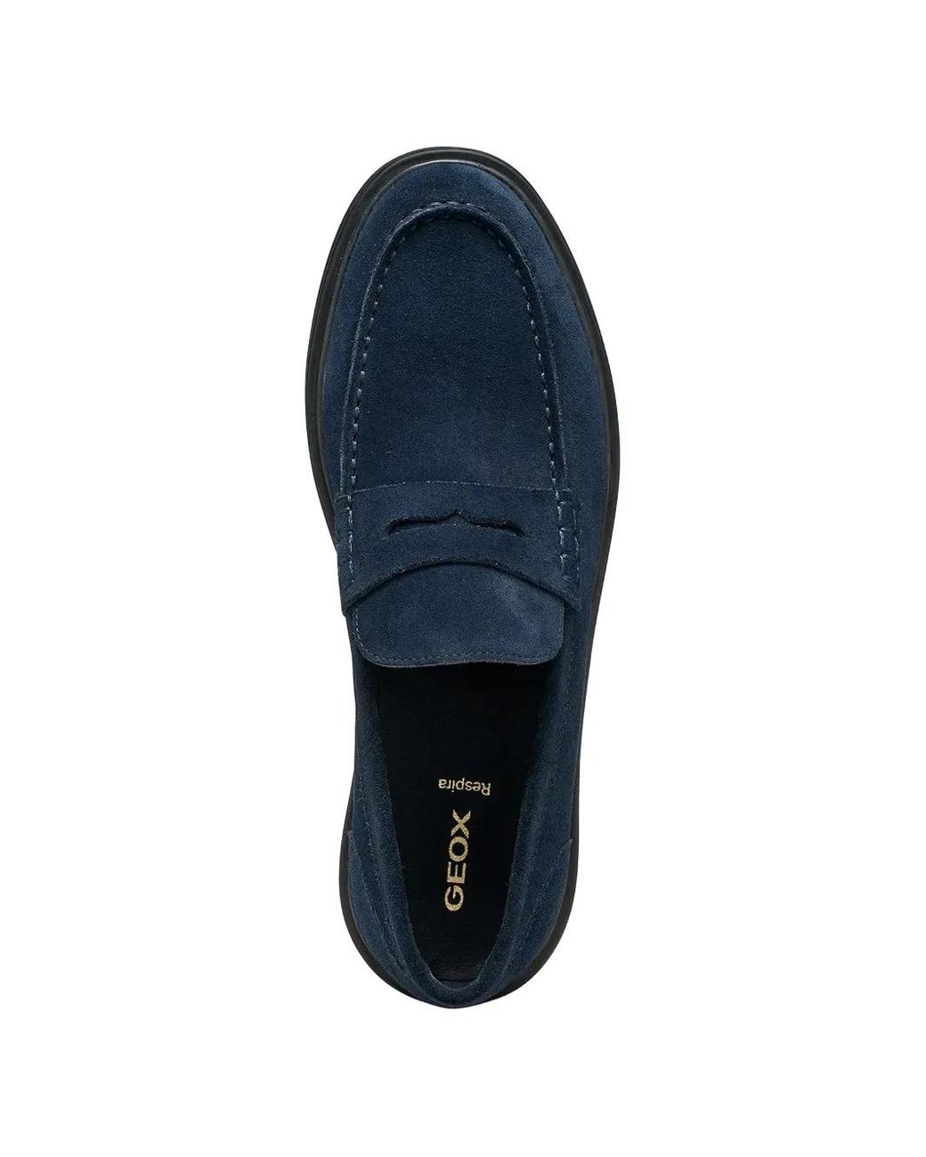 Geox Blue Massimiano Suede Loafers for men