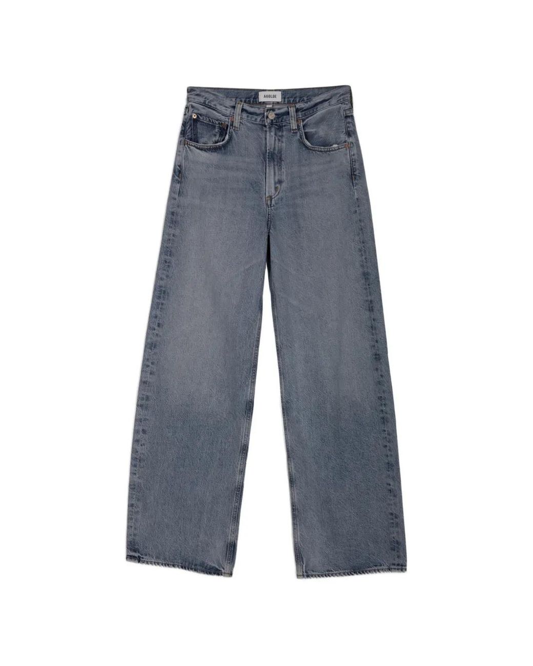 Agolde Blue Low Curve Jeans