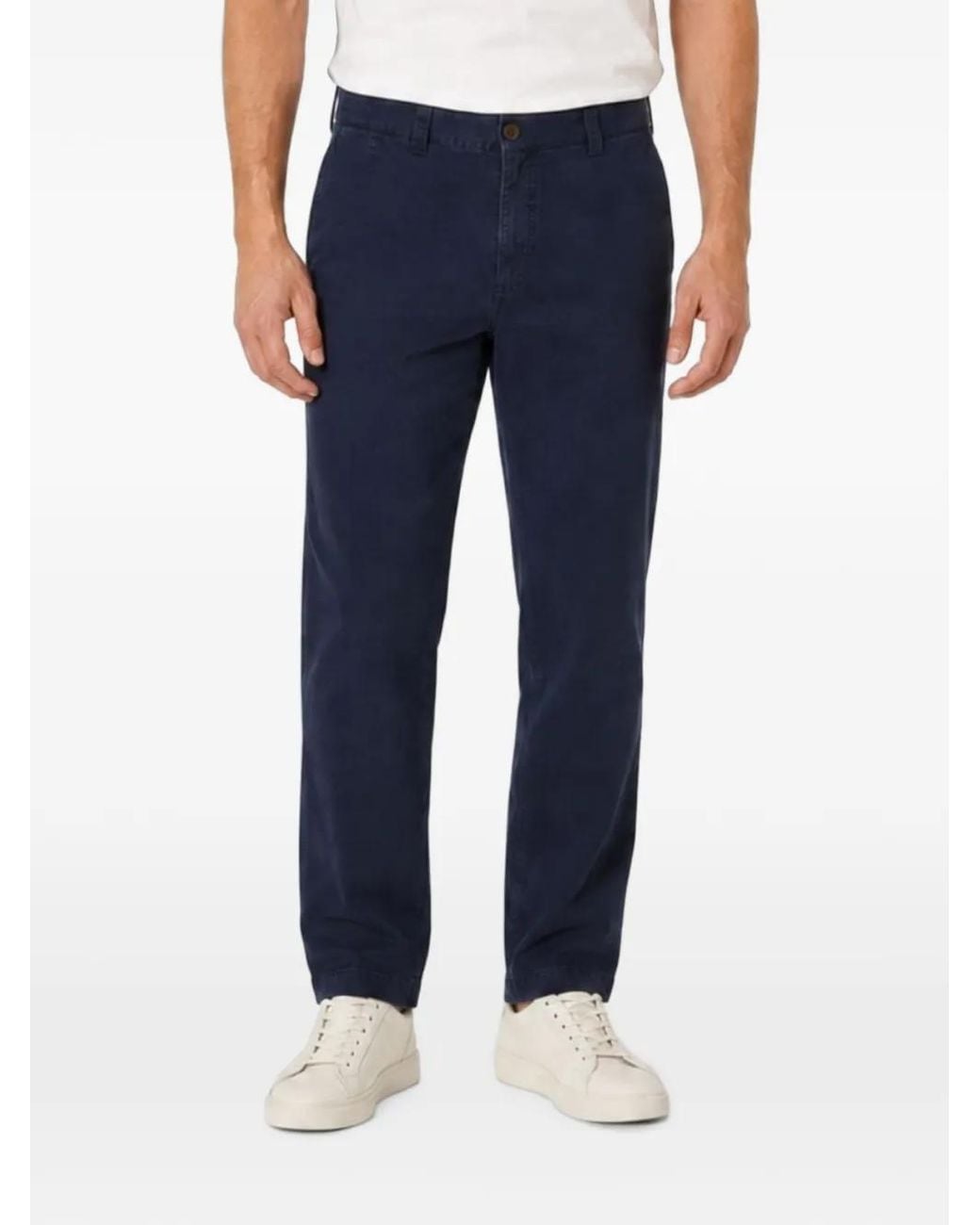 Berwich Blue Straight-Leg Chino Trousers for men