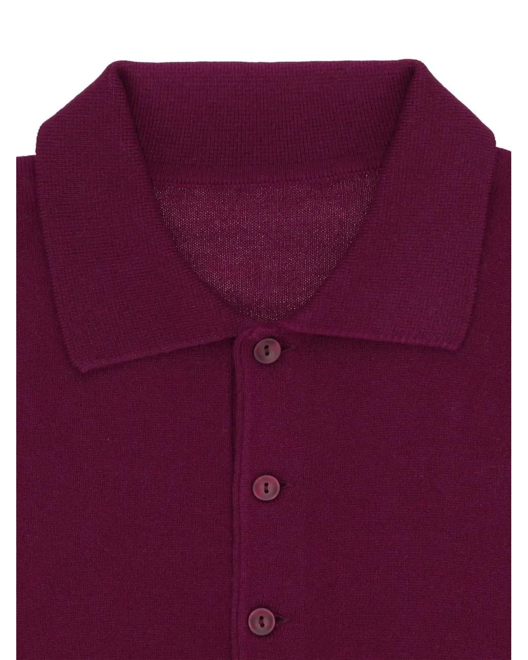 Fortela Purple Kenneth Long-Sleeve Polo Shirt for men