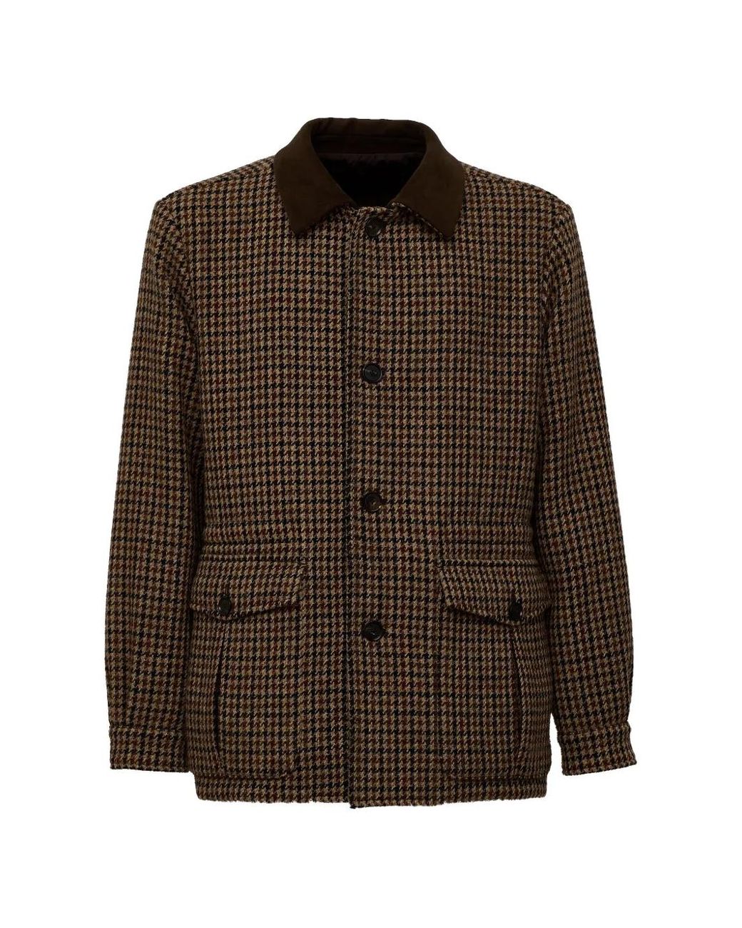 Caruso Brown Dalila Padded Jacket for men