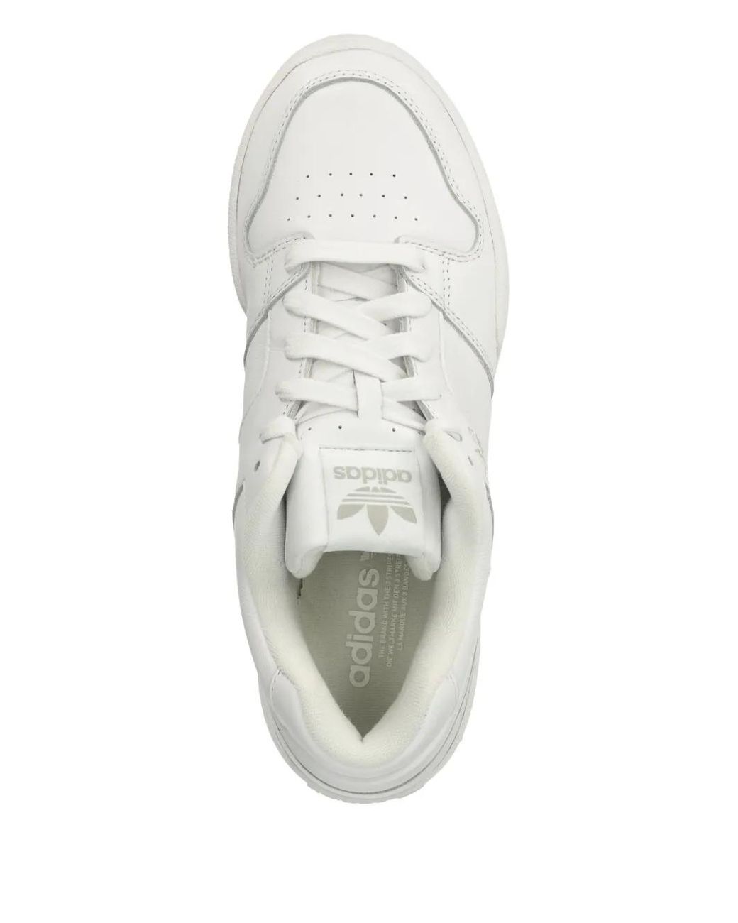 Adidas White Forum Low Sneakers for men