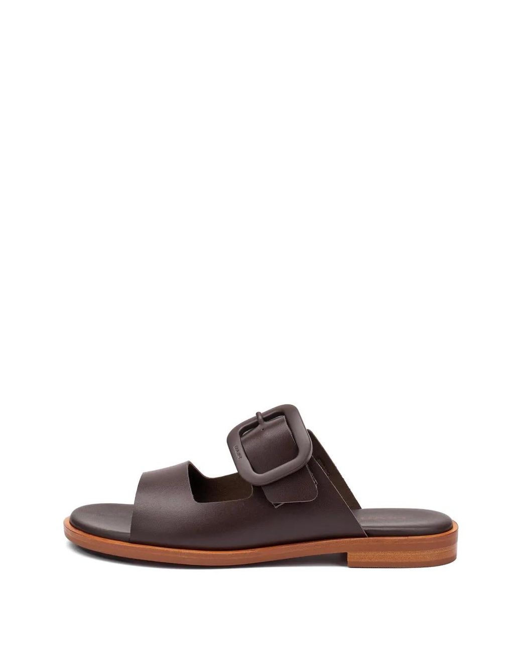 Frau Brown Buckle-Fastening Leather Sandals