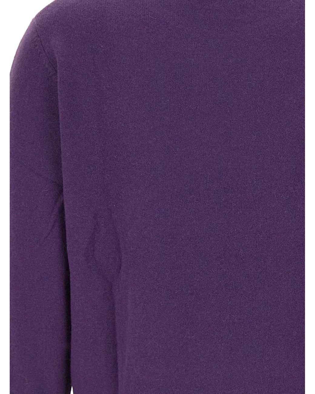 Not Shy Purple Round-Neck Sweater